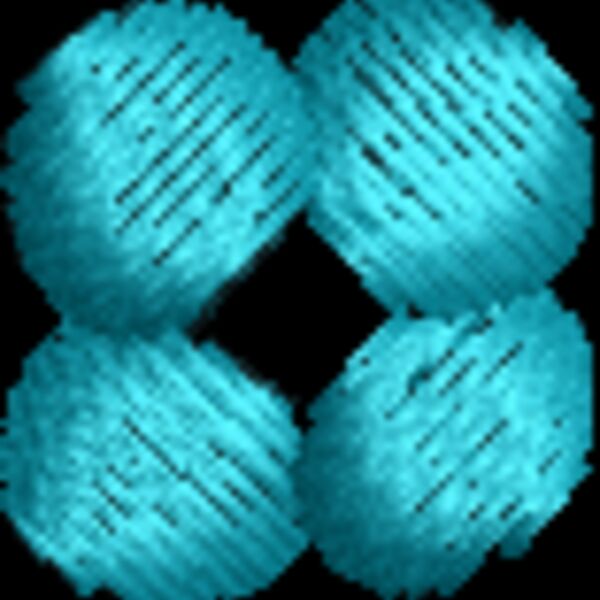FP444 Thumbnail